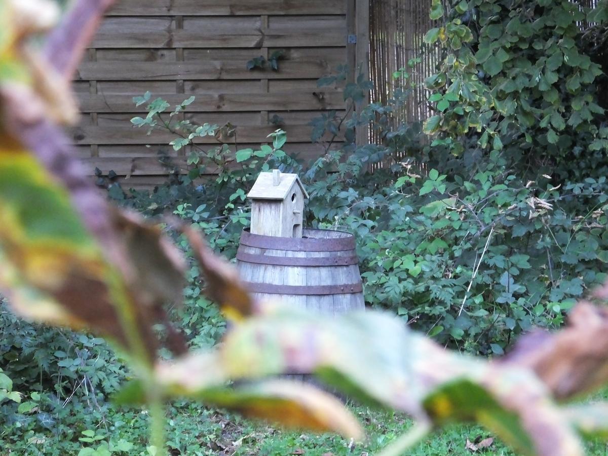 Bed and Breakfast L'Escarbotine Friville-Escarbotin Exterior foto